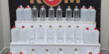 Dumandan zehirlenen 6 günlük buzağıya bagajda acil müdahale