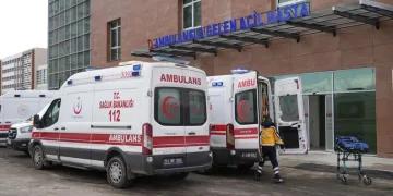 Dumandan zehirlenen 6 günlük buzağıya bagajda acil müdahale