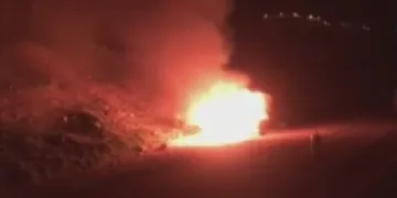 Dumandan zehirlenen 6 günlük buzağıya bagajda acil müdahale