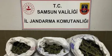 Dumandan zehirlenen 6 günlük buzağıya bagajda acil müdahale