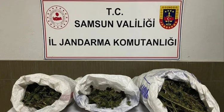 Dumandan zehirlenen 6 günlük buzağıya bagajda acil müdahale