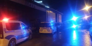 Dumandan zehirlenen 6 günlük buzağıya bagajda acil müdahale