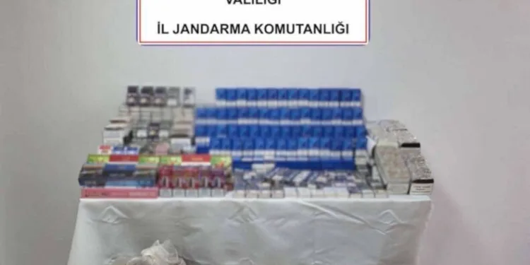 Dumandan zehirlenen 6 günlük buzağıya bagajda acil müdahale
