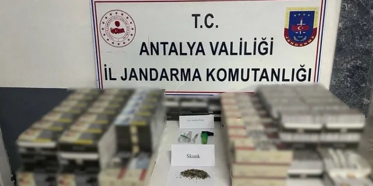Dumandan zehirlenen 6 günlük buzağıya bagajda acil müdahale