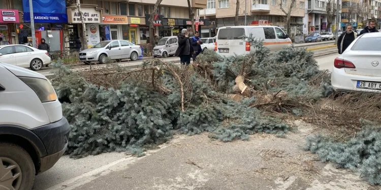 Fatih’te önce iş yerlerine ateş açtılar sonra polise silah doğrulttular