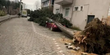 Şiddetli rüzgar eski gümrük sahasında konteynırları devirdi