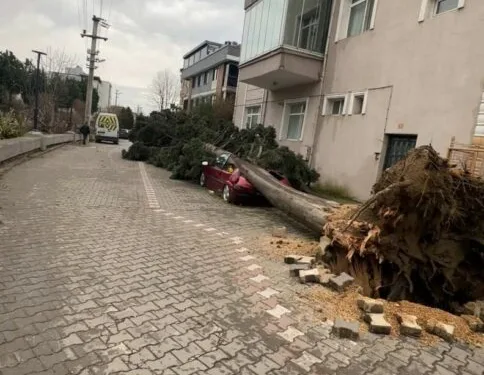 Şiddetli rüzgar eski gümrük sahasında konteynırları devirdi