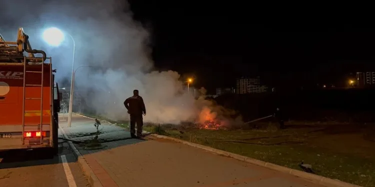 Şiddetli rüzgar eski gümrük sahasında konteynırları devirdi