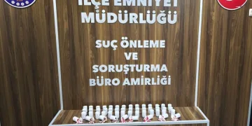 Adana’da şarampole yuvarlanan otomobildeki 2 kişi yaralandı