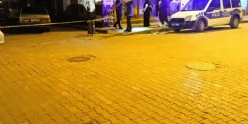 Adana’da şarampole yuvarlanan otomobildeki 2 kişi yaralandı