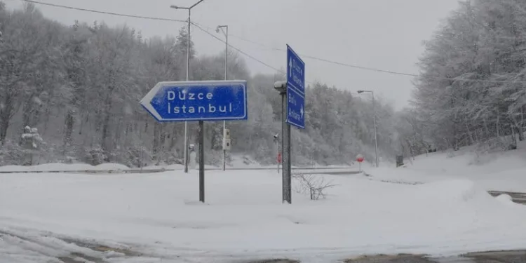 Elazığ’a bilek güreşinde 3 madalya