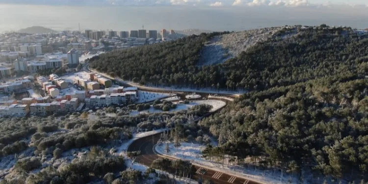 Elazığ’a bilek güreşinde 3 madalya