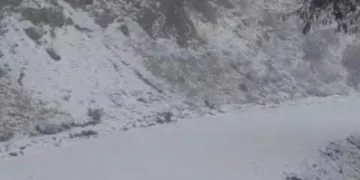 Elazığ’a bilek güreşinde 3 madalya