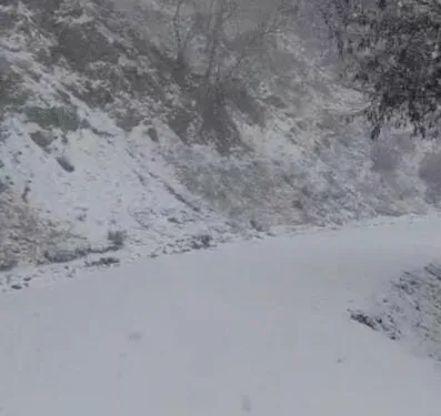 Elazığ’a bilek güreşinde 3 madalya