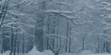 Elazığ’a bilek güreşinde 3 madalya