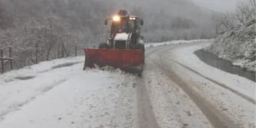 Elazığ’a bilek güreşinde 3 madalya