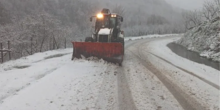 Elazığ’a bilek güreşinde 3 madalya