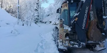 Elazığ’a bilek güreşinde 3 madalya