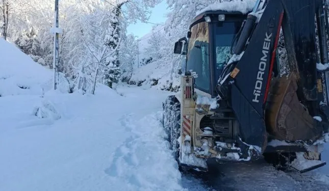 Elazığ’a bilek güreşinde 3 madalya