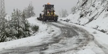 Elazığ’a bilek güreşinde 3 madalya