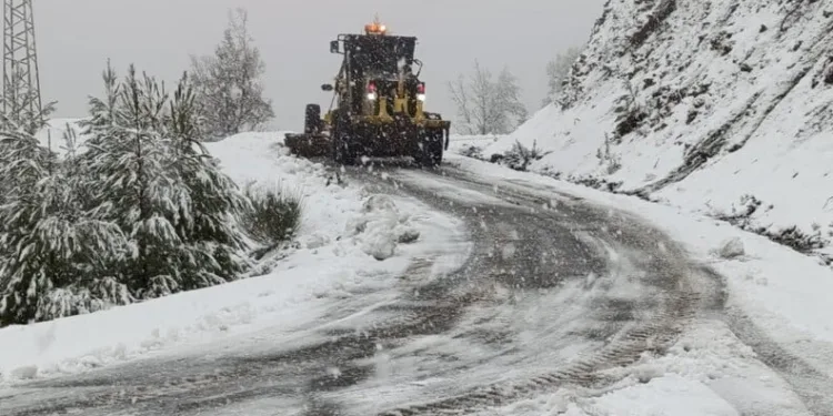 Elazığ’a bilek güreşinde 3 madalya