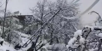 Elazığ’a bilek güreşinde 3 madalya