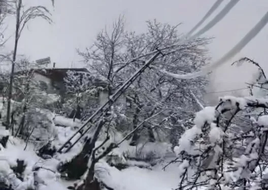 Elazığ’a bilek güreşinde 3 madalya