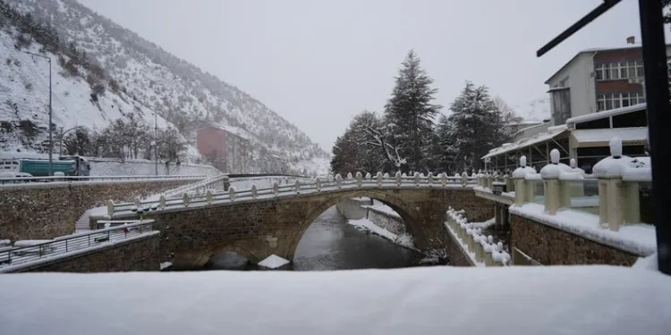 Elazığ’a bilek güreşinde 3 madalya