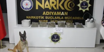 Tartıştığı dayısını sokak ortasında vurdu
