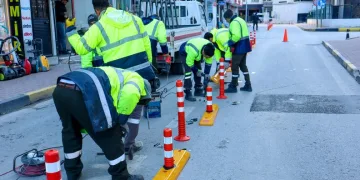 Kulp’ta aç kalan yaban atları grup halinde merkeze indi