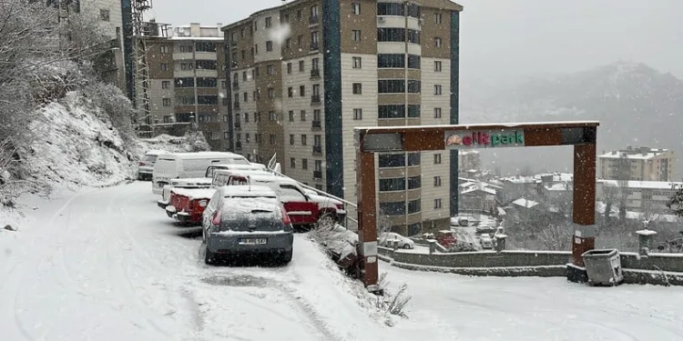 Kulp’ta aç kalan yaban atları grup halinde merkeze indi