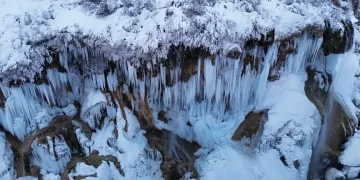 Kulp’ta aç kalan yaban atları grup halinde merkeze indi