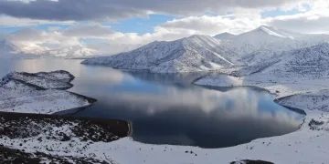Kulp’ta aç kalan yaban atları grup halinde merkeze indi