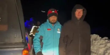 Kulp’ta aç kalan yaban atları grup halinde merkeze indi