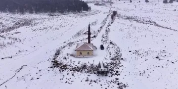 Kulp’ta aç kalan yaban atları grup halinde merkeze indi