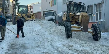 Kulp’ta aç kalan yaban atları grup halinde merkeze indi