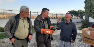 Kulp’ta aç kalan yaban atları grup halinde merkeze indi