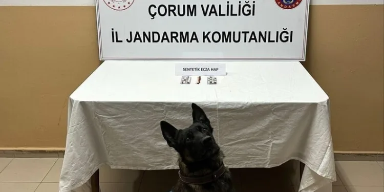 Bartın’da motosiklet, scooter ve bisikletlerin trafiğe çıkması yasaklandı