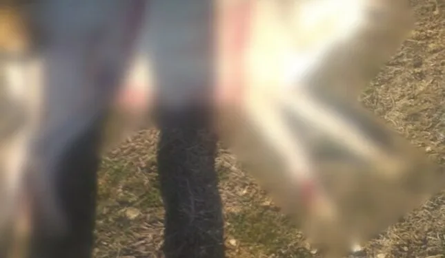 Serik’te devrilen kamyonetin sürücüsü ağır yaralandı