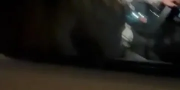 Serik’te devrilen kamyonetin sürücüsü ağır yaralandı