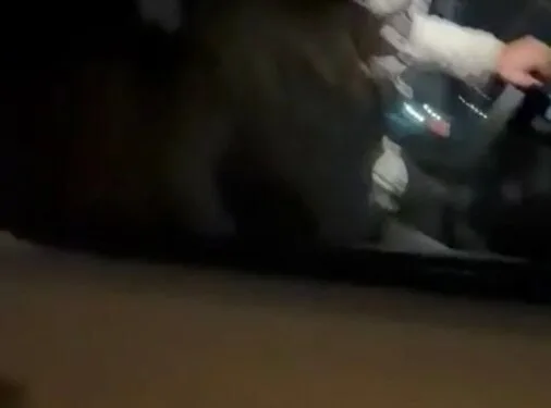 Serik’te devrilen kamyonetin sürücüsü ağır yaralandı