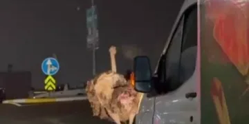 Isparta’da 1 haftalık narkotik operasyonlarında 7 şüpheli tutuklandı