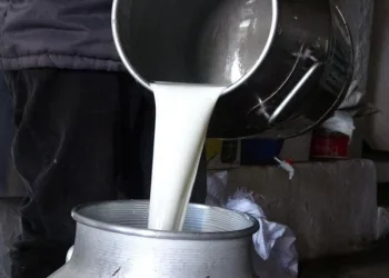 Çiğ süt fiyatları belli oldu