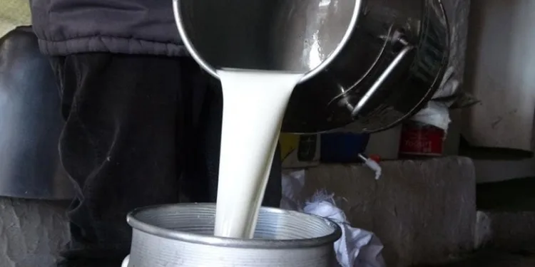 Çiğ süt fiyatları belli oldu