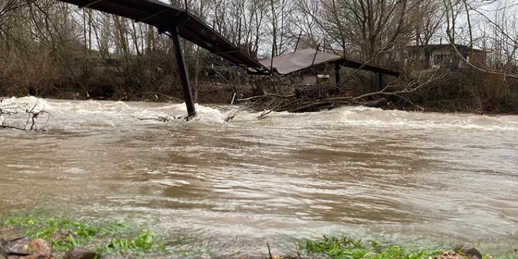 LNE09356
