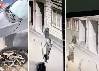 Çalı yolu büyükşehirle aydınlandı
