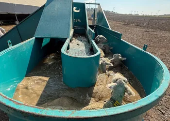 İnegöl Belediyesi’nden tarıma ve üreticiye tam destek