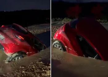 Bursa’da otomobil bataklığa saplandı, sürücü son anda kurtuldu