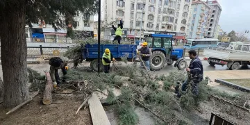 Kütahya’da fırtına ve aşırı rüzgâr ağaçları devirdi