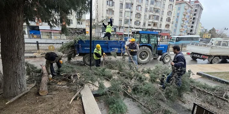 Kütahya’da fırtına ve aşırı rüzgâr ağaçları devirdi